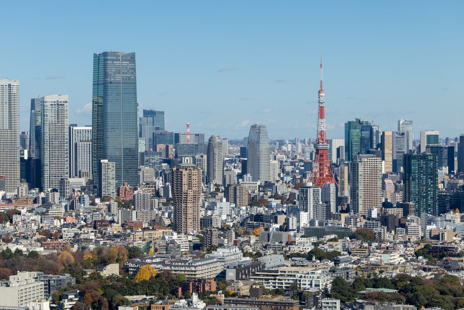 東京タワーを望む港区の街並み